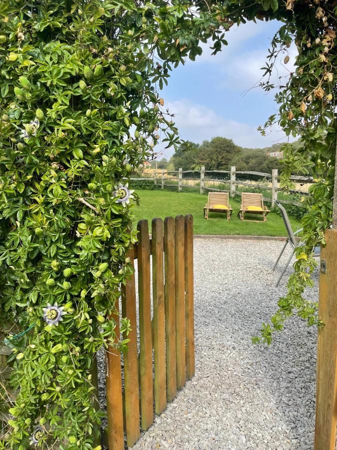 Holmdale Holiday Cottages Rye Ngoại thất bức ảnh